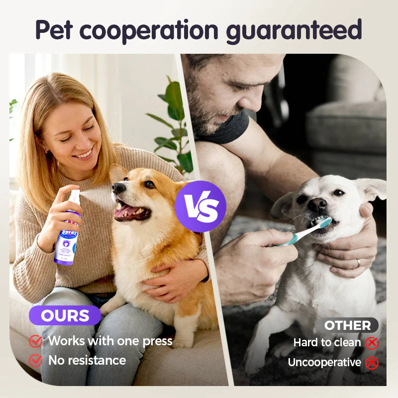 1🐶🐱🦷✨Spray za čišćenje zuba za kućne ljubimce