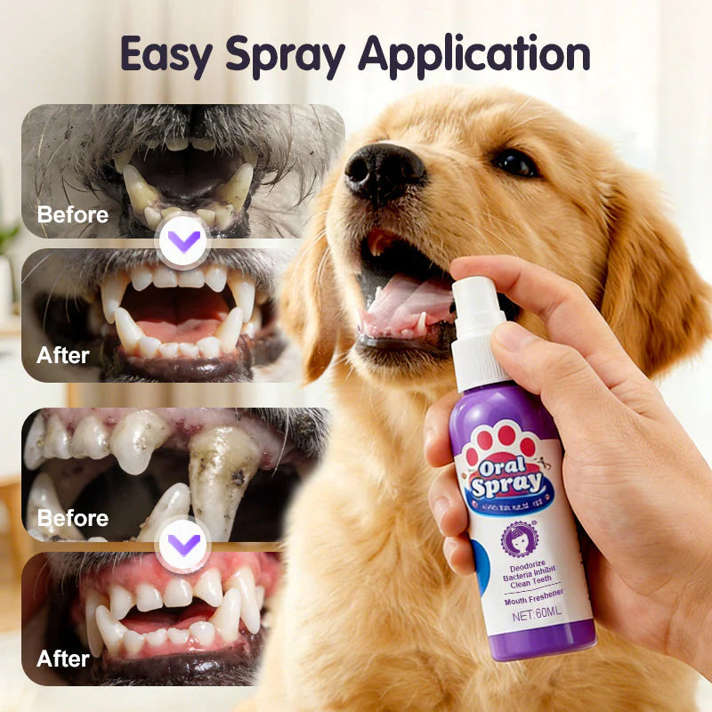 1🐶🐱🦷✨Spray za čišćenje zuba za kućne ljubimce